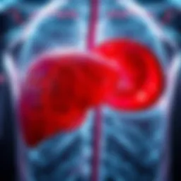 Illustration depicting the liver's anatomy and health