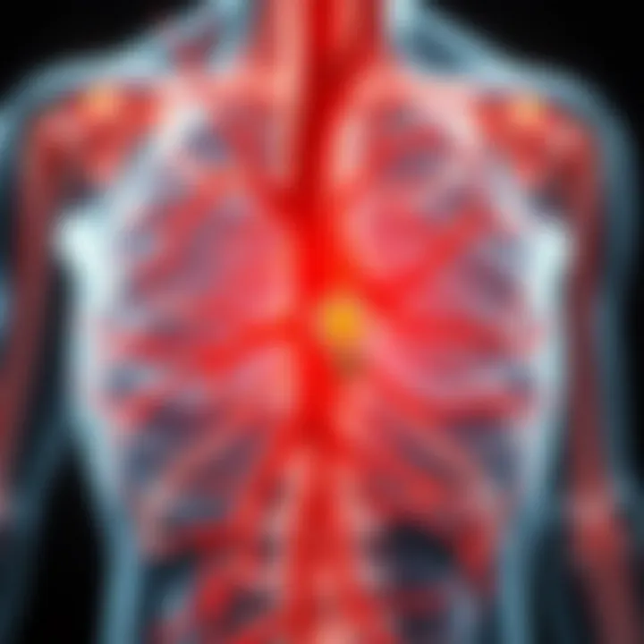 Diagram highlighting nerve damage due to vascular issues