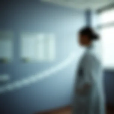 Illustration of a career progression path for International Medical Graduates