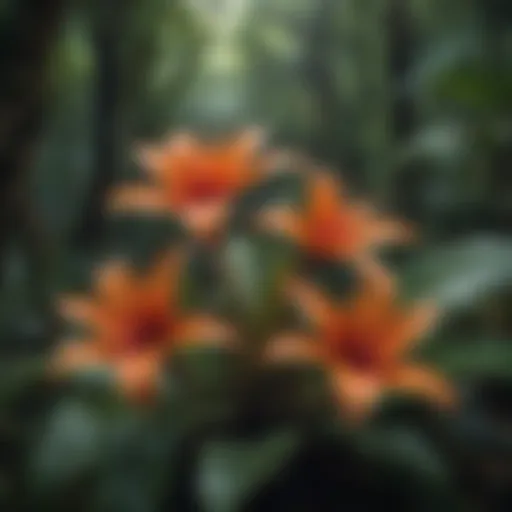 Diverse plant species in the Brazilian rainforest showcasing vibrant flora