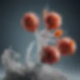 A diagram illustrating the biochemical processes involved in sodium chloride's effect on hydration levels.