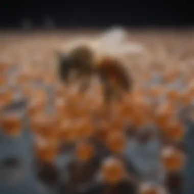 Chemical structures of different bee pheromones