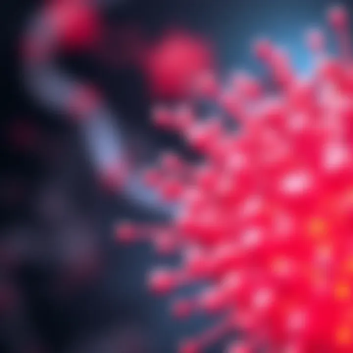 Exploring the Intricacies of Magnetic Nanorods Summary
