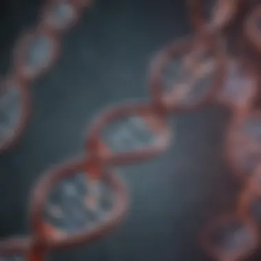 DNA Methylation Dynamics Visual representation of DNA methylation
