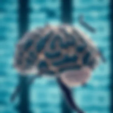 Diagram showing specific probiotic strains and their effects