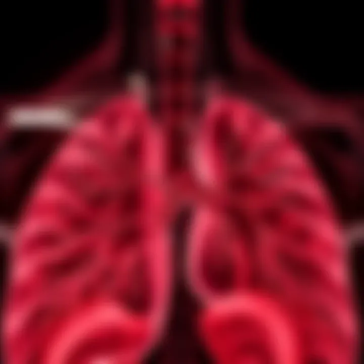 Anatomy of the Pulmonary Artery Anatomical illustration of the pulmonary artery