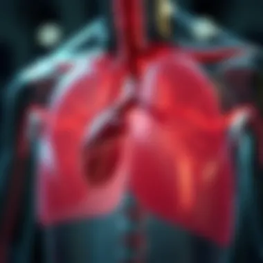 Blood Transport Mechanism of the Pulmonary Artery Diagram illustrating blood flow from the heart to the lungs