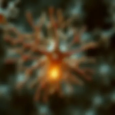 Biological mechanisms underlying melatonin's effects on autism