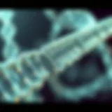 Detailed representation of RNA coding sequences