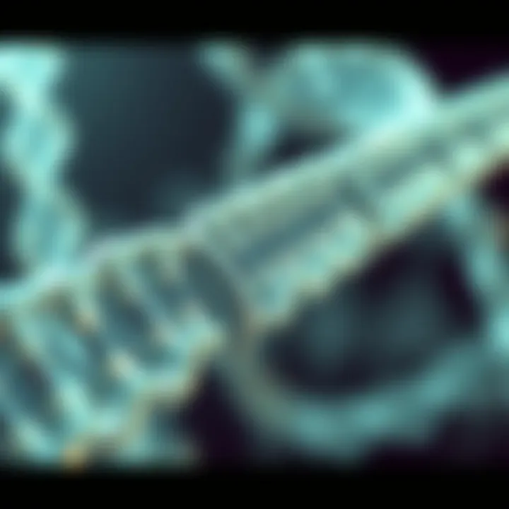 Detailed representation of RNA coding sequences