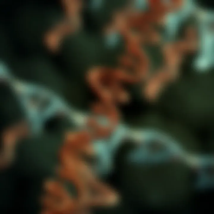 Diagram illustrating the functionality of RNA in cellular processes