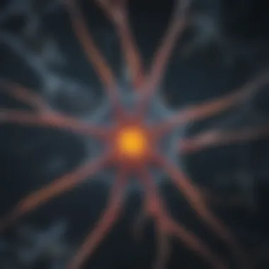 Morphological Characteristics of Rat Astrocytes Morphological features of rat astrocytes highlighting their star-shaped structure.