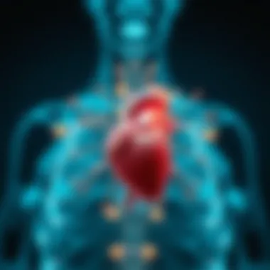 Physiological Mechanisms of Acupuncture Conceptual representation of acupuncture's physiological mechanisms