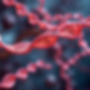 Exploring the Role of Anti-dsDNA in Systemic Lupus Erythematosus Summary