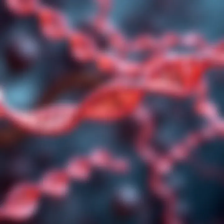 Exploring the Role of Anti-dsDNA in Systemic Lupus Erythematosus Summary