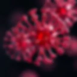 Exploring the Role of CLEC5A Antibody in Immunology Introduction