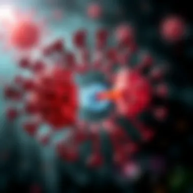 Immune Response Mechanism of BCG Illustration of immune response triggered by BCG