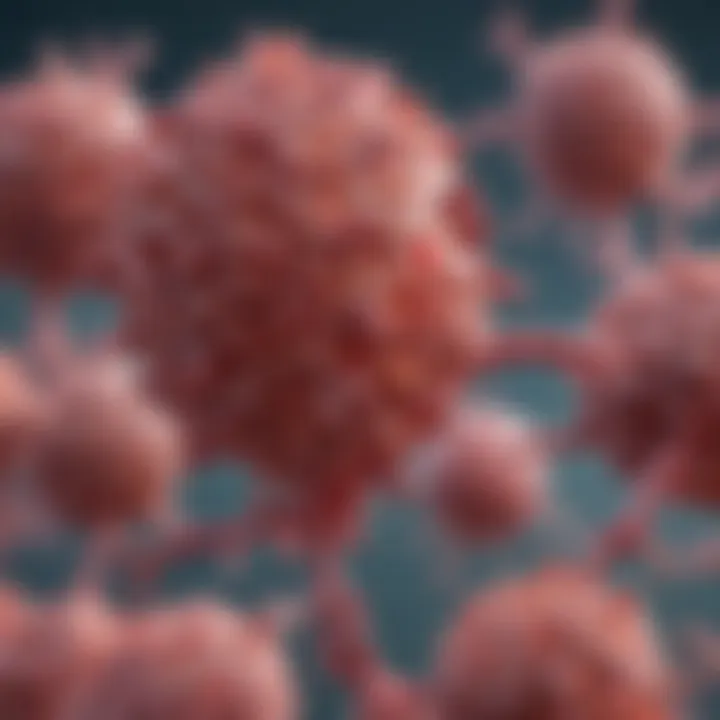Immunomodulatory drug structure