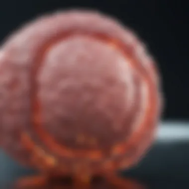 Emerging Research Trends in Tumor Debulking Research trends in oncology related to debulking