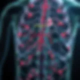 A detailed diagram illustrating the autoimmune response in type 2 diabetes