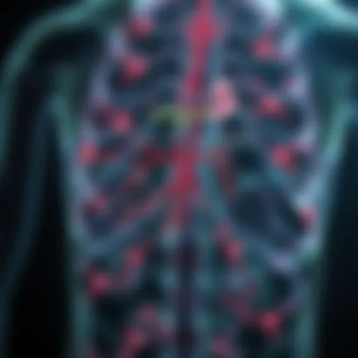 A detailed diagram illustrating the autoimmune response in type 2 diabetes