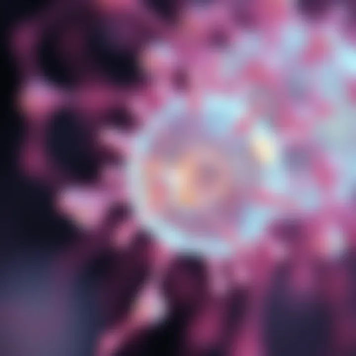 Illustration of applications of UCNPs in biomedical imaging