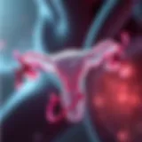 The Balance of Vaginal Flora Illustration depicting the balance of vaginal flora