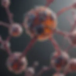 Representation of XBAI methylation dynamics