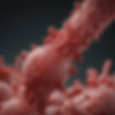 Role of Factor VII in Coagulation Diagram illustrating the coagulation cascade highlighting Factor VII's role