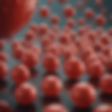 Key Influencers of Erythropoiesis Infographic depicting factors influencing red blood cell production