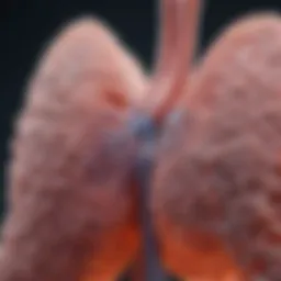 Illustration depicting the accumulation of fluid in the lungs