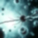 Illustration of stem cell differentiation pathways