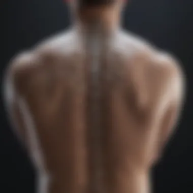 Genetic Influences on Spine Elongation Visual representation of genetic factors influencing spine elongation