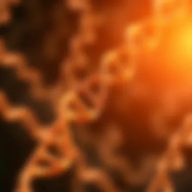 Genetic Predispositions in Diabetes Genetic markers associated with type 2 diabetes depicted in a graphical representation