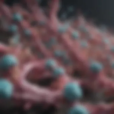 Illustration of CFTR gene mutations