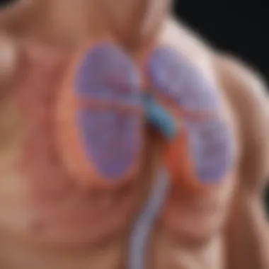 Pathophysiology of Cystic Fibrosis Diagram showing the pathophysiology of cystic fibrosis