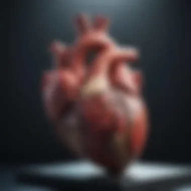 Advanced Echocardiogram An advanced echocardiogram showing heart function