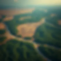 Aerial view of deforested land