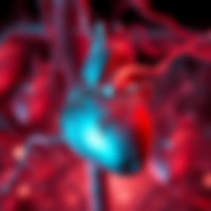 Research Findings on Hypertrophy Medical research findings on hypertrophy and heart function