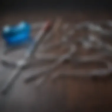 Surgical Instruments for Canine Hysterectomy Surgical tools prepared for a canine hysterectomy