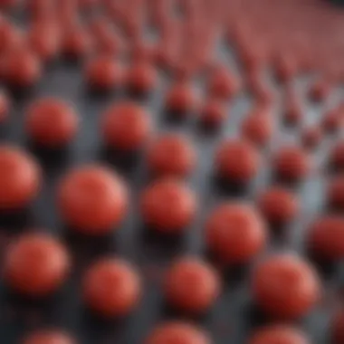 Microscopic Analysis of Erythrocyte Structure Microscopic view of red blood cells showcasing their structure and function