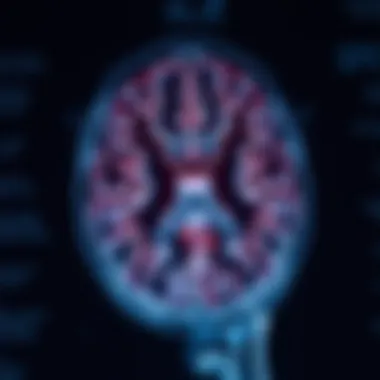 Collaborative approach for MS MRI interpretation