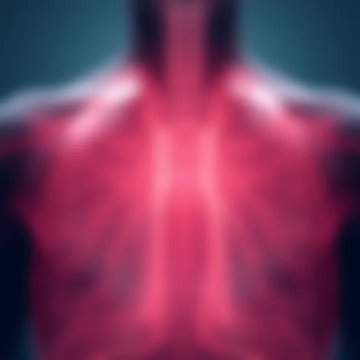 Infographic on public health initiatives to combat smoking