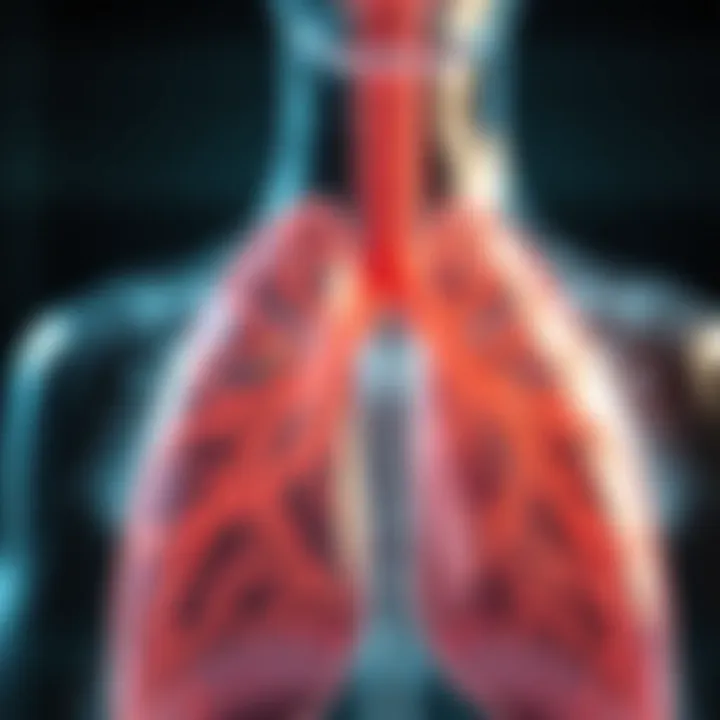 Representation of therapeutic options for lung cancer treatment