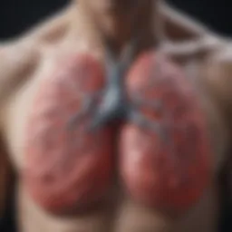 Diagram illustrating the biological mechanisms of lung rejuvenation