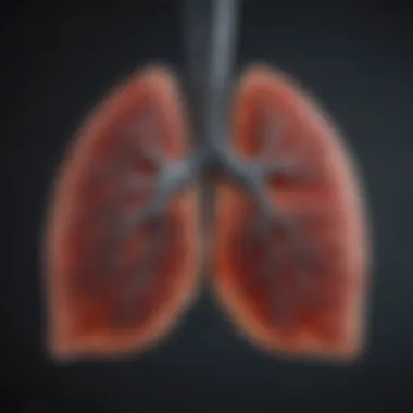 Chart depicting the impact of environmental factors on lung function