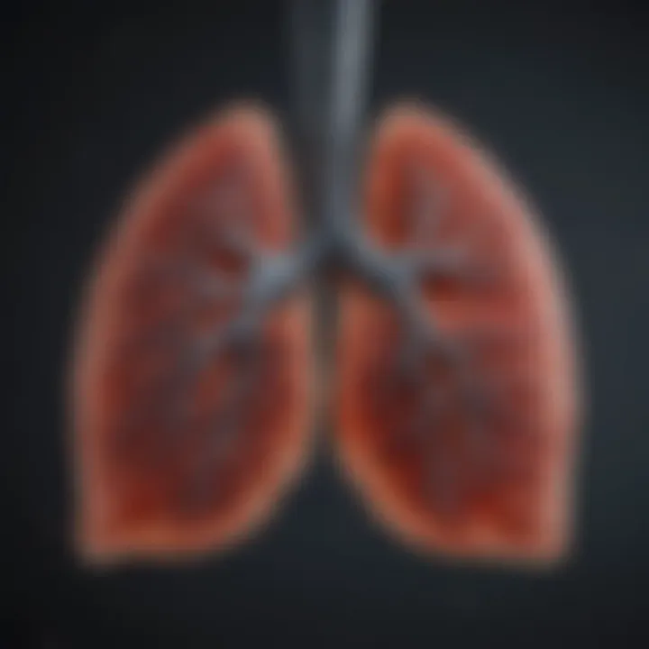 Chart depicting the impact of environmental factors on lung function