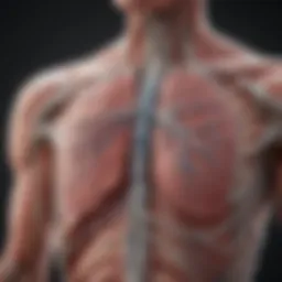 Detailed infographic illustrating various types of lung stents and their applications in clinical settings.