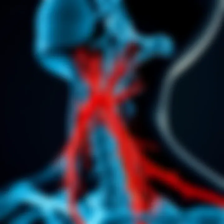 Chart highlighting common disorders related to lymphatic dysfunction