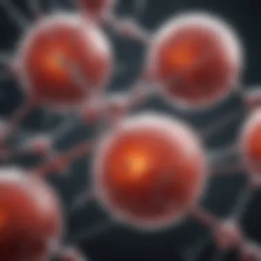 Diagram of metabolic processes influenced by chromium